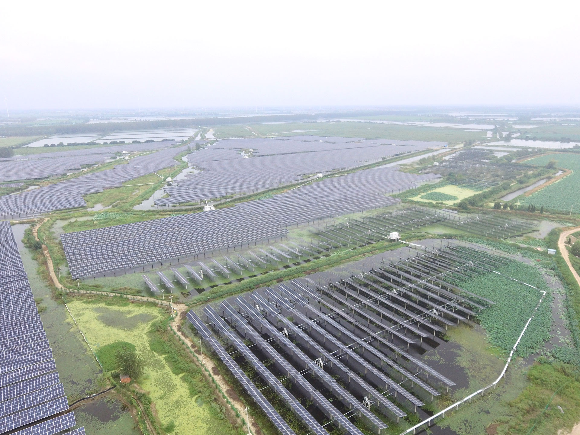 金年會科技江蘇揚州寶應光伏發(fā)電應用領跑基地2號100兆瓦項目